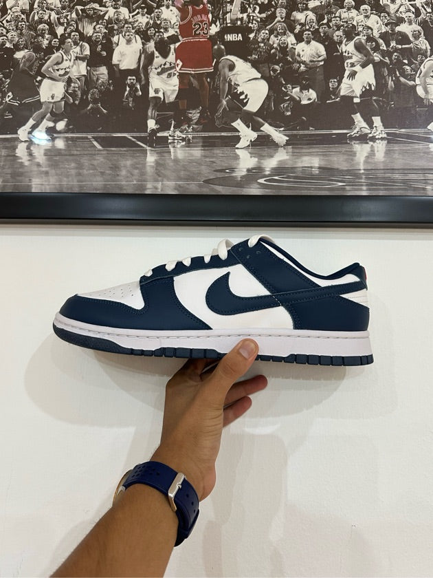 Dunk Low Valerian Blue