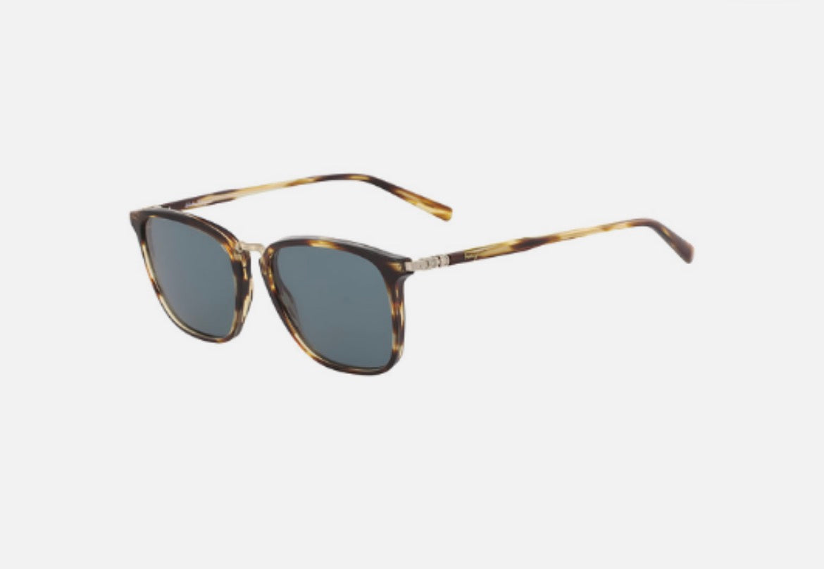 Gafas Ferragamo
